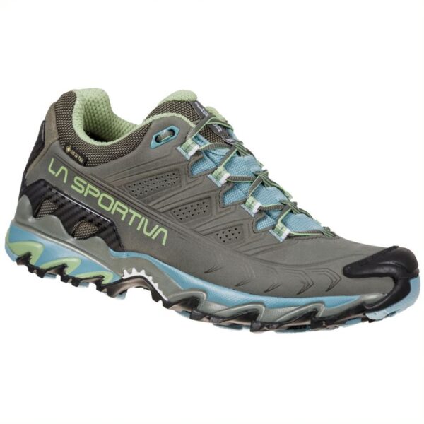 Ultra Raptor II Leather GTX