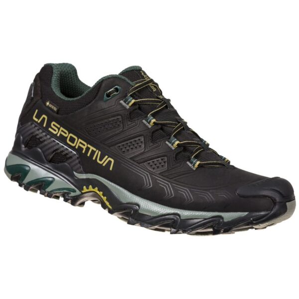 Ultra Raptor II  Women Leather GTX